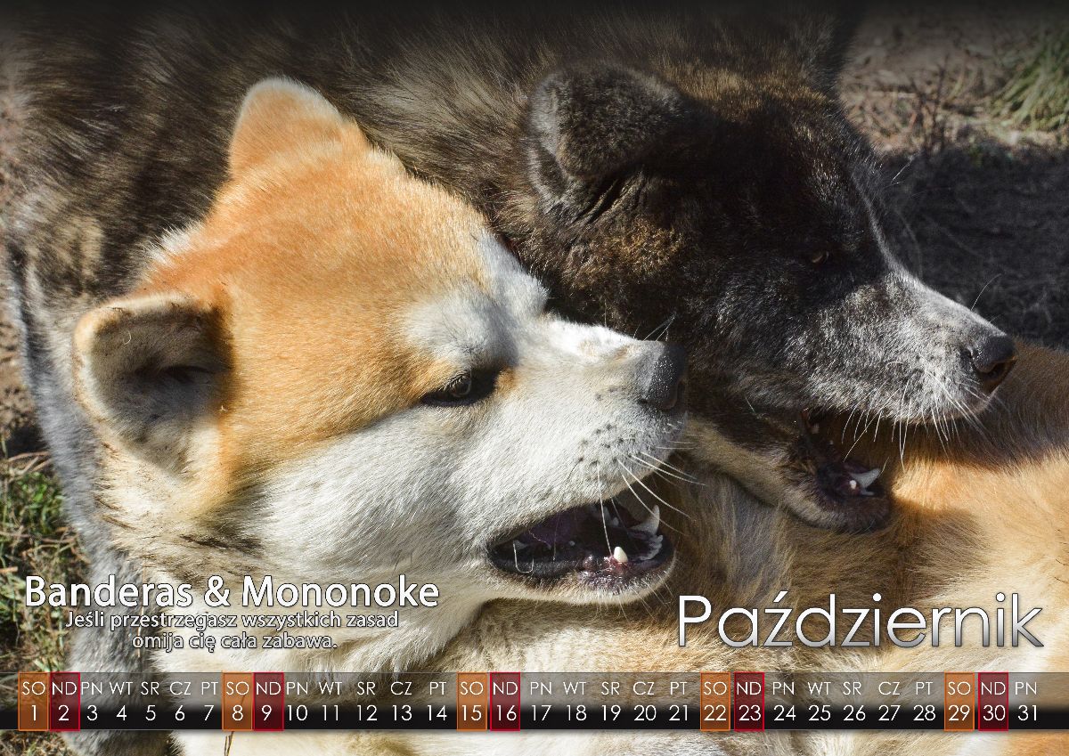 10 Pazdziernik2022 copy